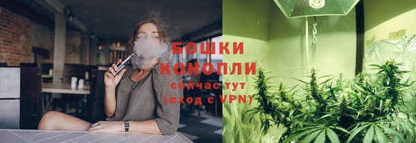 сатива Белокуриха