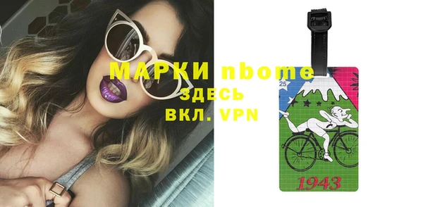 сатива Белокуриха