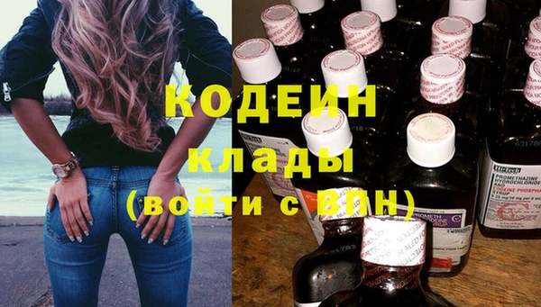 сатива Белокуриха