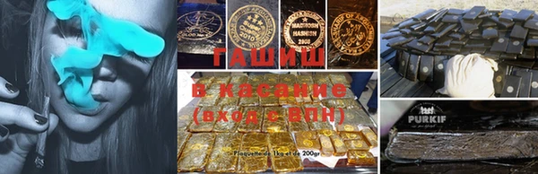 сатива Белокуриха