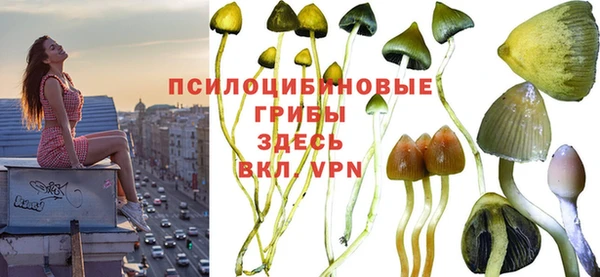 марки lsd Беломорск